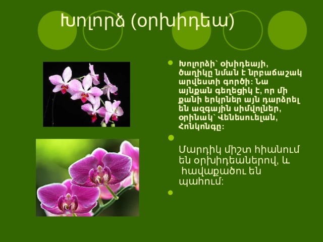    Խոլորձ (օրխիդեա)    Խոլորձի` օխիդեայի, ծաղիկը նման է նրբաճաշակ արվեստի գործի: Նա այնքան գեղեցիկ է, որ մի քանի երկրներ այն դարձրել են ազգային սիմվոլներ, օրինակ` Վենեսուելան, Հոնկոնգը:  Մարդիկ միշտ հիանում են օրխիդեաներով, և  հավաքածու են պահում: 