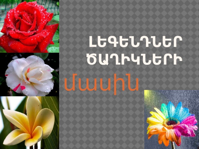 Լեգենդներ ծաղիկների մասին 