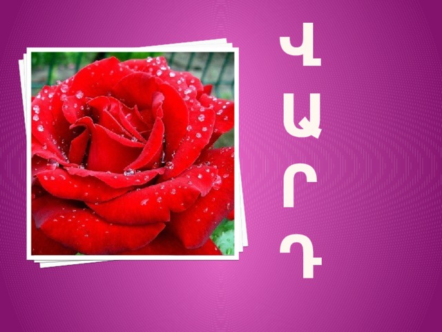 Վ  Ա  Ր  Դ 