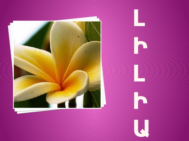 Լ  Ի  Լ  Ի  Ա   