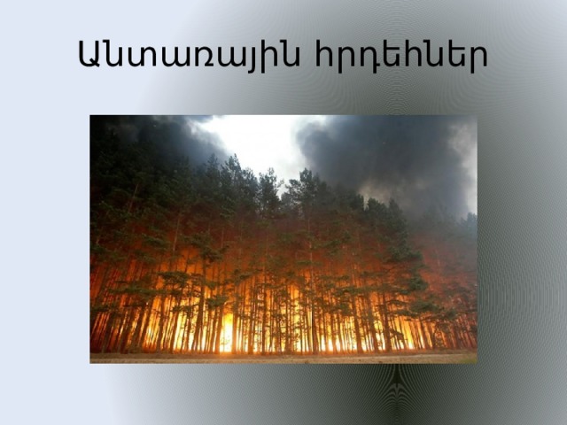 Անտառային հրդեհներ 