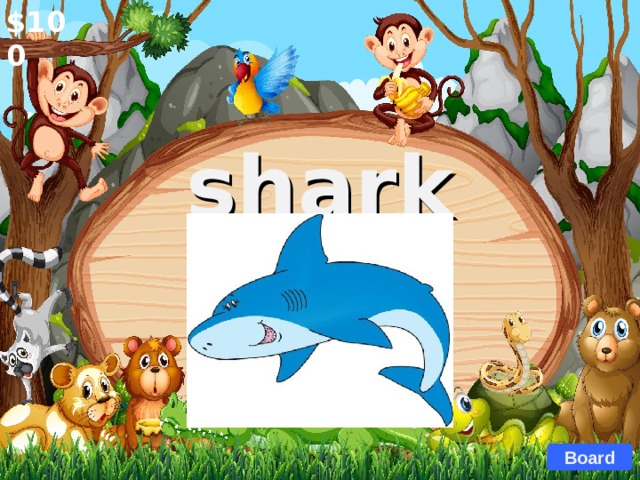 $100 shark  Board 