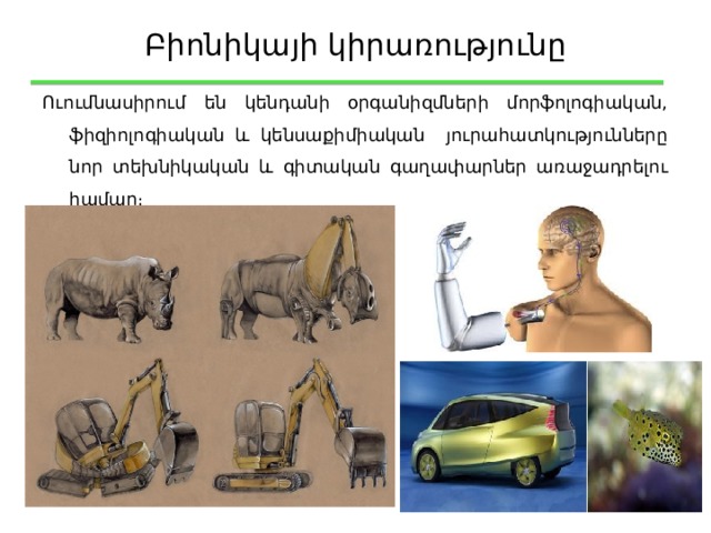 Բիոնիկայի կիրառությունը Ուումնասիրում են կենդանի օրգանիզմների մորֆոլոգիական, ֆիզիոլոգիական և կենսաքիմիական յուրահատկությունները նոր տեխնիկական և գիտական գաղափարներ առաջադրելու համար։ 