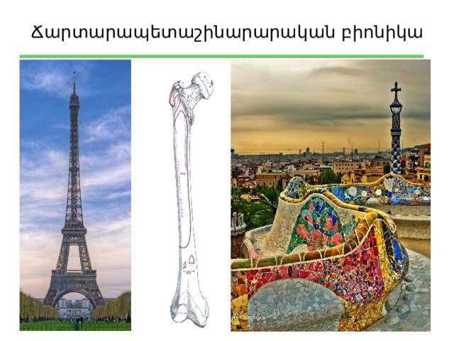 Ճարտարապետաշինարարական բիոնիկա 