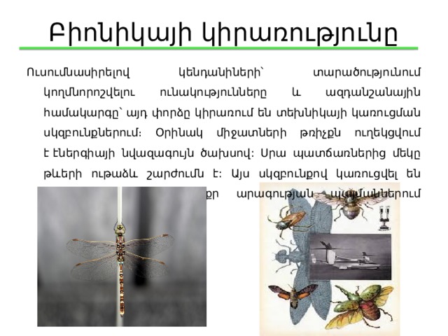 Բիոնիկայի կիրառությունը Ուսումնասիրելով կենդանիների՝ տարածությունում կողմնորոշվելու ունակությունները և ազդանշանային համակարգը՝ այդ փորձը կիրառում են տեխնիկայի կառուցման սկզբունքներում։ Օրինակ միջատների թռիչքն ուղեկցվում է էներգիայի նվազագույն ծախսով: Սրա պատճառներից մեկը թևերի ութաձև շարժումն է: Այս սկզբունքով կառուցվել են տեսնող և քամու փոքր արագության պայմաններում աշխատող հողմաղացներ: 