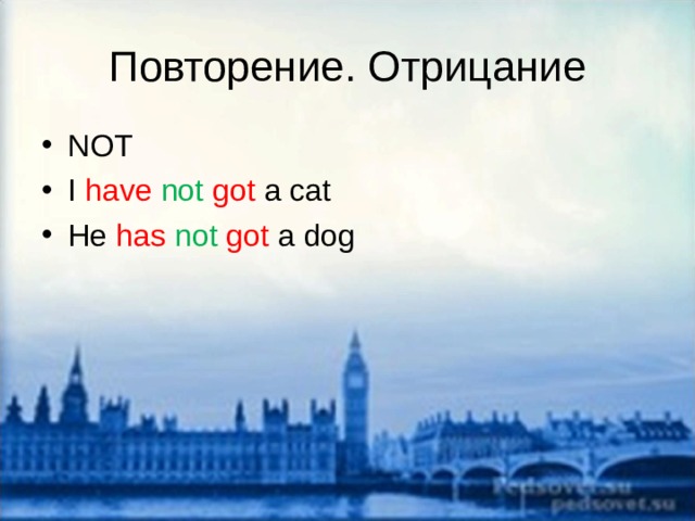 Повторение. Отрицание NOT I have  not  got a cat He has  not  got a dog 