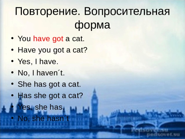 Повторение. Вопросительная форма You have got a cat. Have you got a cat? Yes, I have. No, I haven´t. She has got a cat. Has she got a cat? Yes, she has. No, she hasn´t   