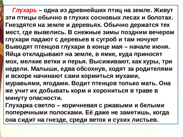  Глухарь – одна из древнейших птиц на земле. Живут эти птицы обычно в глухих сосновых лесах и болотах. Гнездятся на земле и деревьях. Обычно держатся тех мест, где вывелись. В снежные зимы поздним вечером глухари падают с деревьев в сугроб и там ночуют  Выводят птенцов глухари в конце мая – начале июня. Яйца откладывают на земле, в ямке, куда приносят мох, мелкие ветки и перья. Высиживают, как куры, три недели. Малыши, едва обсохнув, ходят за родителями и вскоре начинают сами кормиться мухами, муравьями, ягодами. Водит птенцов только мать. Она же учит их добывать корм и хорониться в траве в минуту опасности.  Глухарка светло – коричневая с ржавыми и белыми поперечными полосками. Её даже не заметишь, когда она сидит на гнезде, среди веток и сухих листьев. 