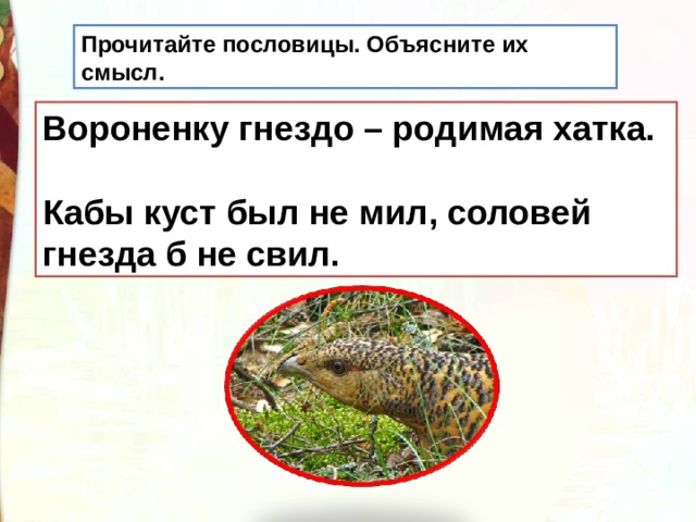 Прочитайте пословицы. Объясните их смысл. Вороненку гнездо – родимая хатка.   Кабы куст был не мил, соловей гнезда б не свил. 