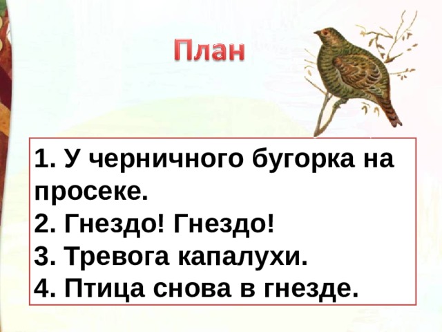 1. У черничного бугорка на просеке. 2. Гнездо! Гнездо! 3. Тревога капалухи. 4. Птица снова в гнезде. 1. 2. 3. 4.  