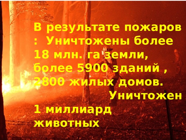 В результате пожаров : Уничтожены более 18 млн. га земли, более 5900 зданий , 2800 жилых домов. Уничтожен 1 миллиард животных 