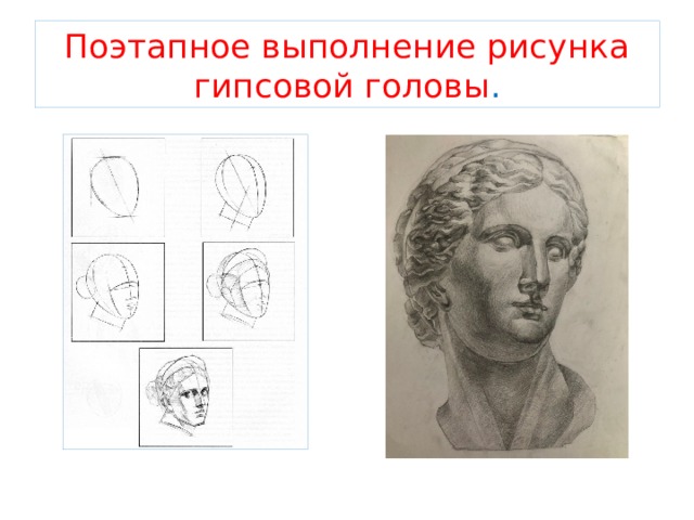Поэтапное выполнение рисунка гипсовой головы . 