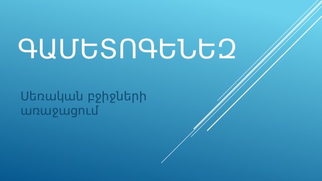 Գամետոգենեզ Սեռական բջիջների առաջացում 