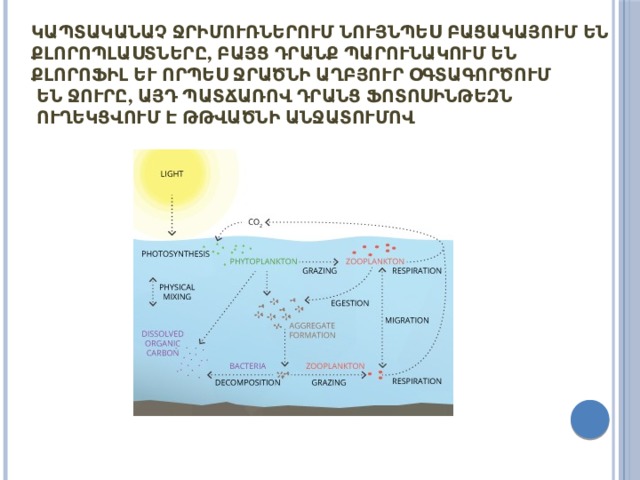 Կապտականաչ ջրիմուռներում նույնպես բացակայում են քլորոպլաստները, բայց դրանք պարունակում են քլորոֆիլ և որպես ջրածնի աղբյուր օգտագործում են ջուրը, այդ պատճառով դրանց ֆոտոսինթեզն ուղեկցվում է թթվածնի անջատումով։ 