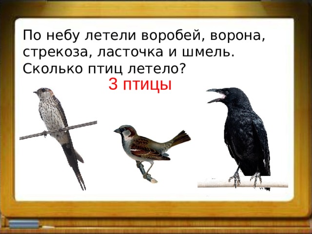 По небу летели воробей, ворона, стрекоза, ласточка и шмель. Сколько птиц летело? 3 птицы 