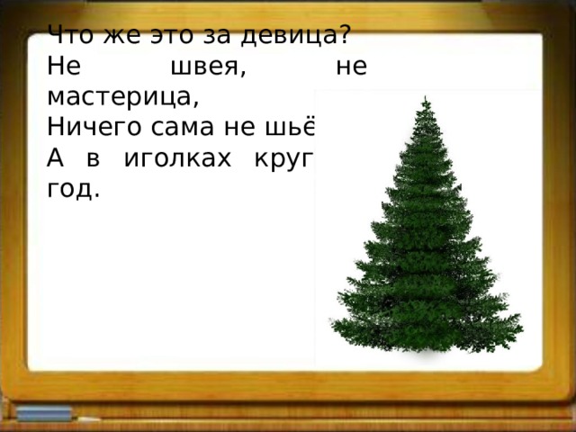 Что же это за девица? Не швея, не мастерица, Ничего сама не шьёт, А в иголках круглый год. 