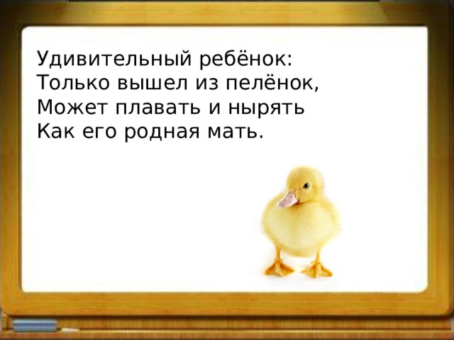 Удивительный ребёнок: Только вышел из пелёнок, Может плавать и нырять Как его родная мать. 