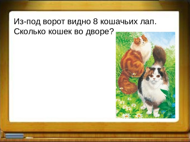 Из-под ворот видно 8 кошачьих лап. Сколько кошек во дворе? 