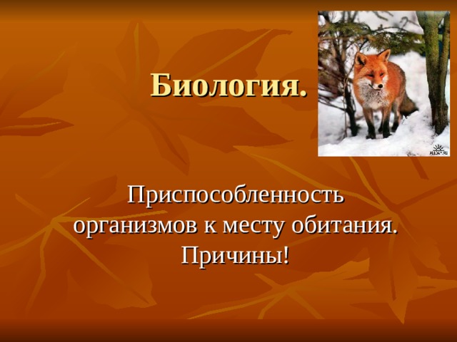 Биология. Приспособленность организмов к месту обитания. Причины! 
