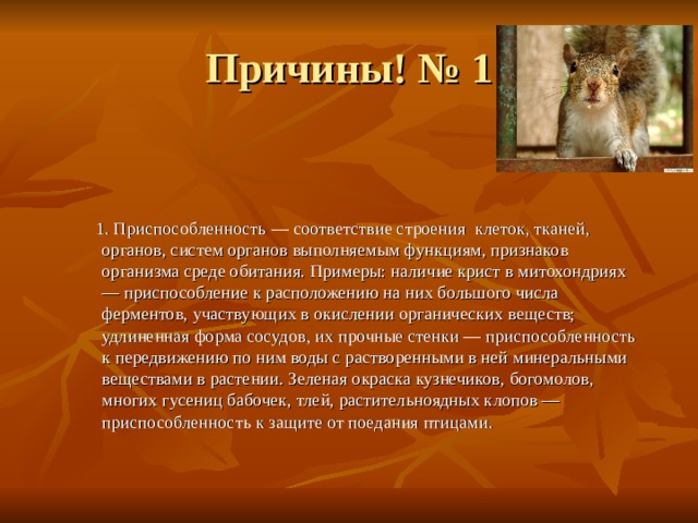 Причины! № 1  1. Приспособленность — соответствие строения клеток, тканей, органов, систем органов выполняемым функциям, признаков организма среде обитания. Примеры: наличие крист в митохондриях — приспособление к расположению на них большого числа ферментов, участвующих в окислении органических веществ; удлиненная форма сосудов, их прочные стенки — приспособленность к передвижению по ним воды с растворенными в ней минеральными веществами в растении. Зеленая окраска кузнечиков, богомолов, многих гусениц бабочек, тлей, растительноядных клопов — приспособленность к защите от поедания птицами. 