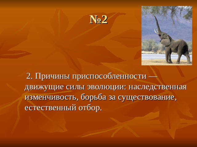 № 2  2. Причины приспособленности — движущие силы эволюции: наследственная изменчивость, борьба за существование, естественный отбор. 