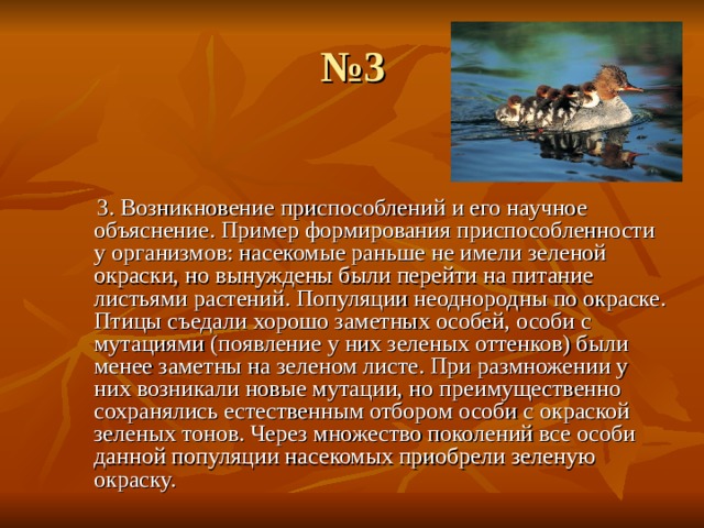 № 3  3. Возникновение приспособлений и его научное объяснение. Пример формирования приспособленности у организмов: насекомые раньше не имели зеленой окраски, но вынуждены были перейти на питание листьями растений. Популяции неоднородны по окраске. Птицы съедали хорошо заметных особей, особи с мутациями (появление у них зеленых оттенков) были менее заметны на зеленом листе. При размножении у них возникали новые мутации, но преимущественно сохранялись естественным отбором особи с окраской зеленых тонов. Через множество поколений все особи данной популяции насекомых приобрели зеленую окраску. 