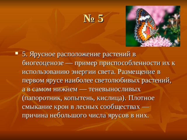 № 5 5. Ярусное расположение растений в биогеоценозе — пример приспособленности их к использованию энергии света. Размещение в первом ярусе наиболее светолюбивых растений, а в самом нижнем — теневыносливых (папоротник, копытень, кислица). Плотное смыкание крон в лесных сообществах — причина небольшого числа ярусов в них.  
