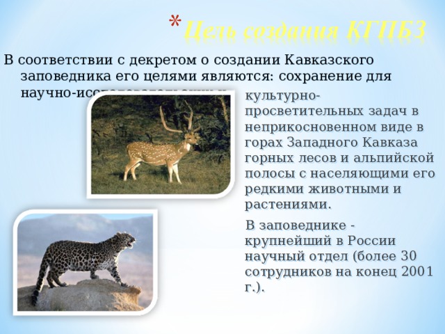 В соответствии с декретом о создании Кавказского заповедника его целями являются: сохранение для научно-исследовательских и культурно-просветительных задач в неприкосновенном виде в горах Западного Кавказа горных лесов и альпийской полосы с населяющими его редкими животными и растениями. В заповеднике - крупнейший в России научный отдел (более 30 сотрудников на конец 2001 г.). 