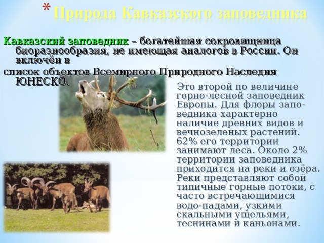 Кавказский заповедник – богатейшая сокровищница биоразнообразия, не имеющая аналогов в России. Он включён в список объектов Всемирного Природного Наследия ЮНЕСКО. Это второй по величине горно-лесной заповедник Европы. Для флоры запо-ведника характерно наличие древних видов и вечнозеленых растений. 62% его территории занимают леса. Около 2% территории заповедника приходится на реки и озёра. Реки представляют собой типичные горные потоки, с часто встречающимися водо-падами, узкими скальными ущельями, теснинами и каньонами. 