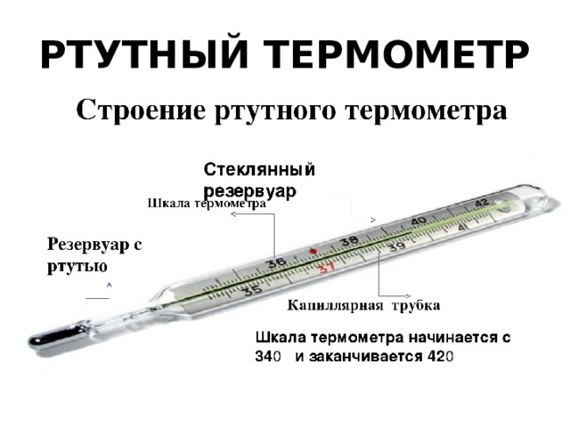 РТУТНЫЙ ТЕРМОМЕТР 