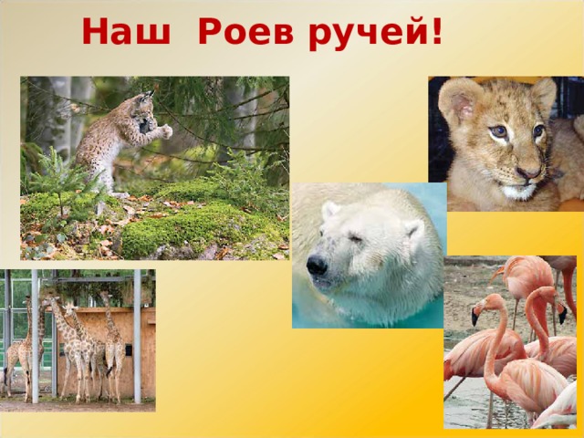 Наш Роев ручей! 