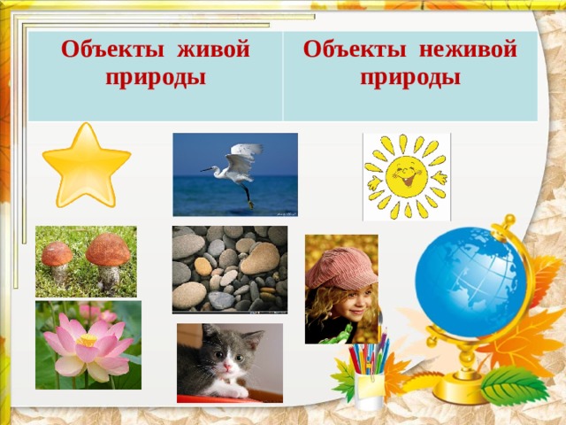Объекты живой природы Объекты неживой природы 