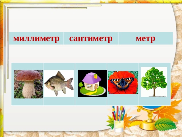 миллиметр сантиметр метр 
