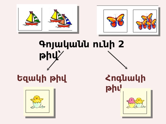 Գոյականն ունի 2 թիվ՝ Եզակի թիվ Հոգնակի թիվ 