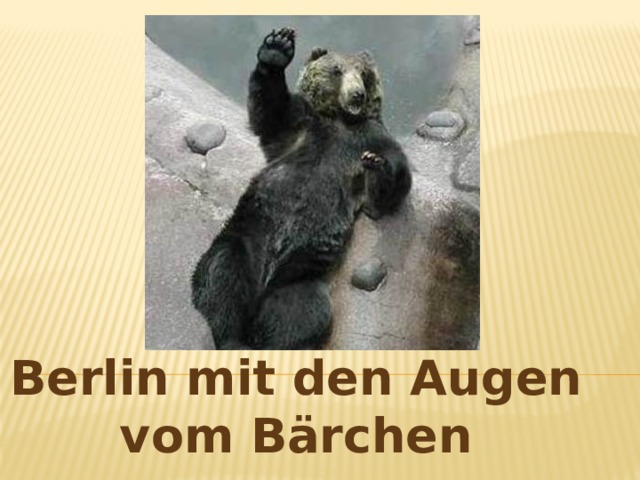 Berlin mit den Augen vom Bärchen 