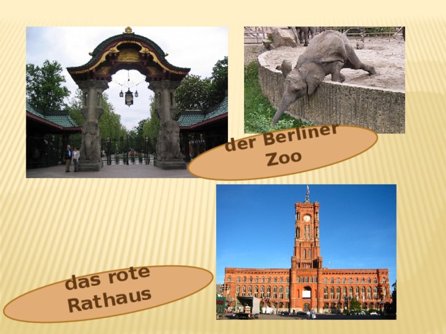  der Berliner Zoo  das rote Rathaus 