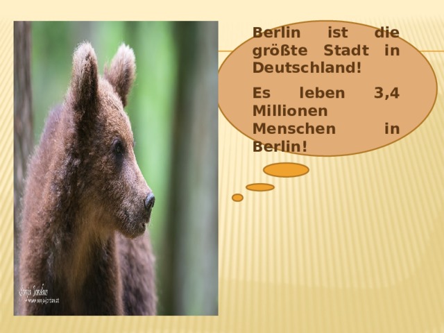 Berlin ist die größte Stadt in Deutschland! Es leben 3,4 Millionen Menschen in Berlin! 