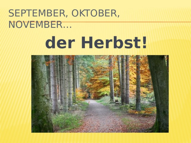 September, Oktober, November… der Herbst! 