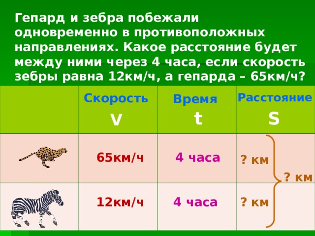 Гепард и зебра побежали одновременно в противоположных направлениях. Какое расстояние будет между ними через 4 часа, если скорость зебры равна 12км/ч, а гепарда – 65км/ч? Время    Скорость  Расстояние t S V 4 часа 65км / ч ? км ? км ? км 4 часа 12км / ч 