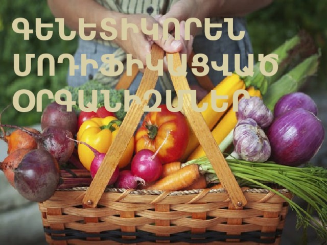 ԳԵՆԵՏԻԿՈՐԵՆ ՄՈԴԻՖԻԿԱՑՎԱԾ ՕՐԳԱՆԻԶՄՆԵՐ 