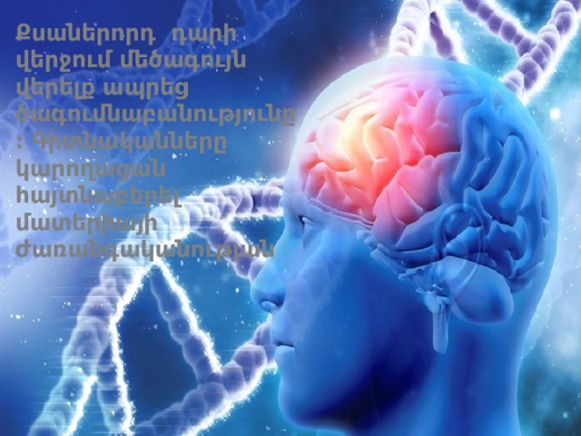Քսաներորդ դարի վերջում մեծագույն վերելք ապրեց ծագումնաբանությունը։ Գիտնականները կարողացան հայտնաբերել մատերիայի ժառանգականության         