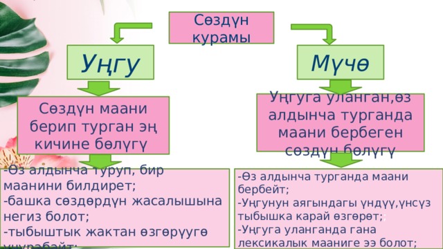Сөздүн курамы Мүчө Уңгу Уңгуга уланган,өз алдынча турганда маани бербеген сөздүн бөлүгү Сөздүн маани берип турган эң кичине бөлүгү -Өз алдынча туруп, бир маанини билдирет; -Өз алдынча турганда маани бербейт; -Уңгунун аягындагы үндүү,үнсүз тыбышка карай өзгөрөт; ; -башка сөздөрдүн жасалышына негиз болот; -Уңгуга уланганда гана лексикалык мааниге ээ болот; -тыбыштык жактан өзгөрүугө учурабайт;  
