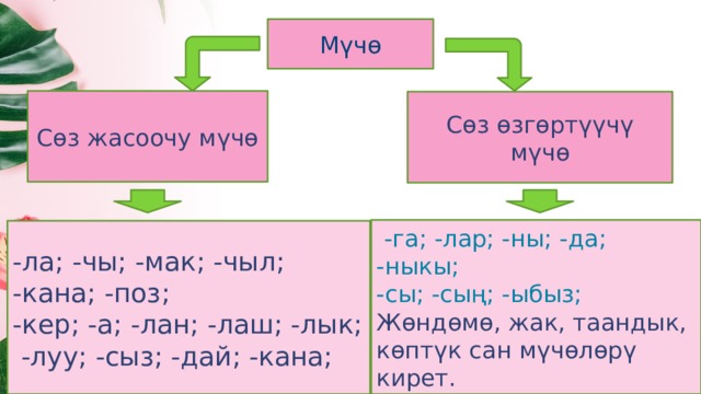 Мүчө Сөз жасоочу мүчө Сөз өзгөртүүчү мүчө  -га; -лар; -ны; -да; -ныкы; -сы; -сың; -ыбыз; Жөндөмө, жак, таандык, көптүк сан мүчөлөрү кирет. -ла; -чы; -мак; -чыл; -кана; -поз; -кер; -а; -лан; -лаш; -лык;  -луу; -сыз; -дай; -кана;  