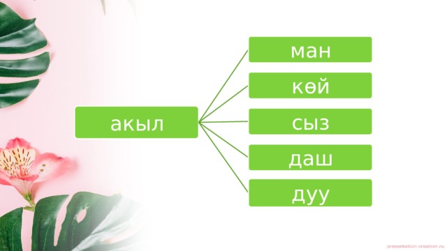 ман көй акыл сыз даш дуу 