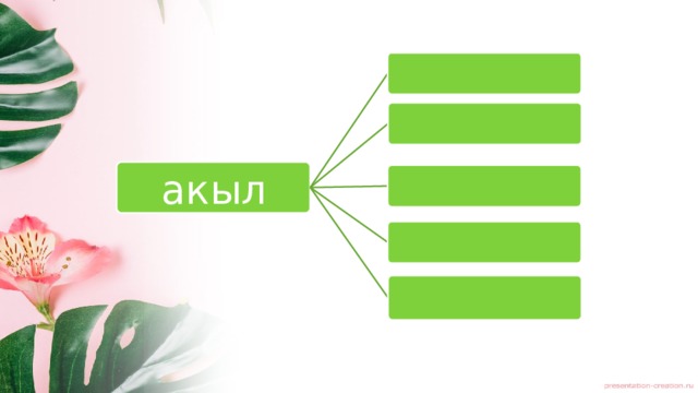 акыл 