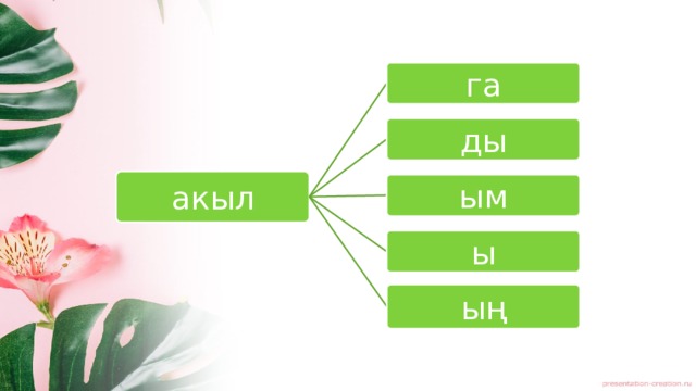 га ды акыл ым ы ың 