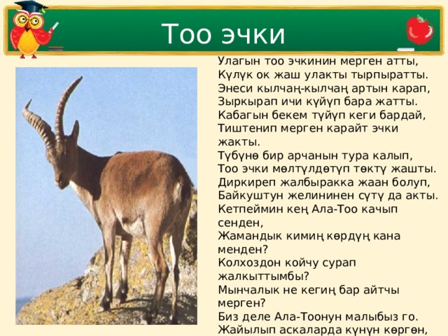 Тоо эчки Улагын тоо эчкинин мерген атты,  Күлүк ок жаш улакты тырпыратты.  Энеси кылчаң-кылчаң артын карап,  Зыркырап ичи күйүп бара жатты.  Кабагын бекем түйүп кеги бардай,  Тиштенип мерген карайт эчки жакты.  Түбүнө бир арчанын тура калып,  Тоо эчки мөлтүлдөтүп төктү жашты.  Диркиреп жалбыракка жаан болуп,  Байкуштун желининен сүтү да акты. Кетпеймин кең Ала-Тоо качып сенден,  Жамандык кимиң көрдүң кана менден?  Колхоздон койчу сурап жалкыттымбы?  Мынчалык не кегиң бар айтчы мерген?  Биз деле Ала-Тоонун малыбыз го.  Жайылып аскаларда күнүн көргөн,  Тоо эчки көбөйөбү, тоо ташынан,  Тентектер кырып турса тууган төлдөн,  Дегендей тоо эчкинин акты жашы,  Сүйөнүп куу арчага муңдуу башы.   