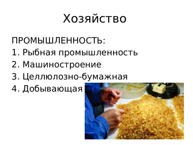 Хозяйство ПРОМЫШЛЕННОСТЬ: Рыбная промышленность Машиностроение Целлюлозно-бумажная Добывающая 