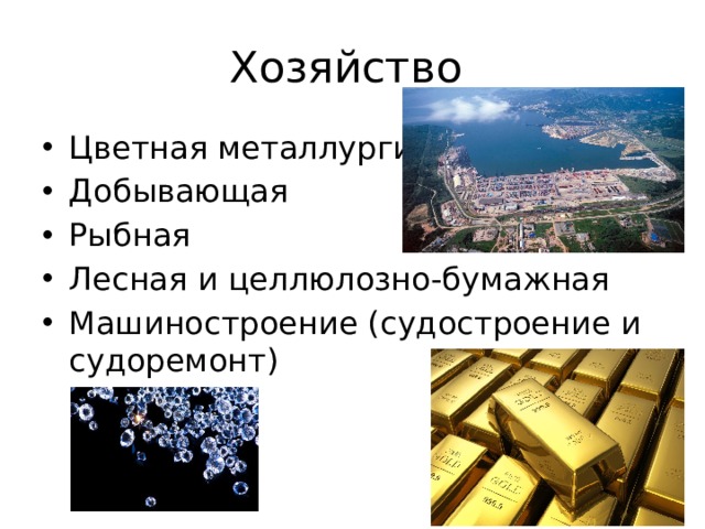 Хозяйство Цветная металлургия Добывающая Рыбная Лесная и целлюлозно-бумажная Машиностроение (судостроение и судоремонт) 