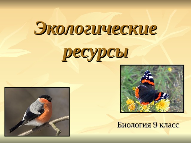 Экологические ресурсы 